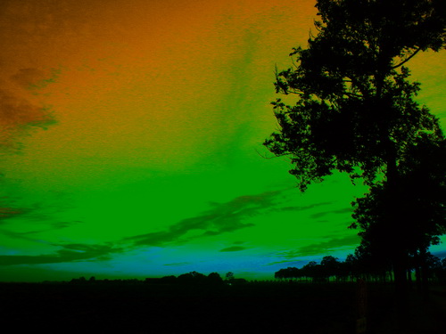 IMG_3173 bew05 verkl