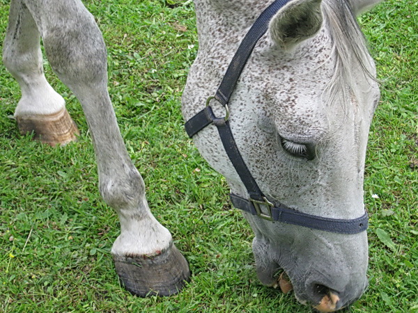 Hier een normaler consumptiepatroon....