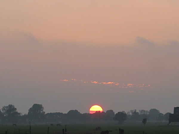 Deze bevalt me beter, de lutje Canon toont zijn inzoomcapaciteit....