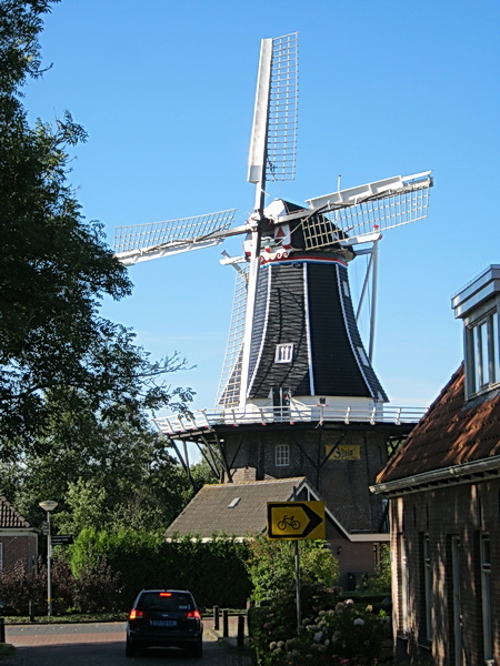De koren- en pelmolen "Fortuna" volop in de septemberzon vanuit de Oosterweg gekiekt. Met verwijzingsbord voor fietsers, terwijl de auto wel linksaf gaat... Het blijft met de omleidingen een wat raadselachtige toestand.