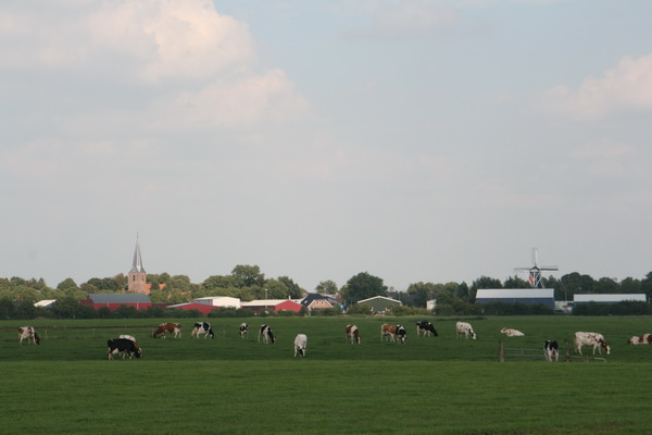 Onderdoorgang gepasseerd? Bulten grond, tractoren met kiepkarren ontweken? Graafmachines uit het oog verloren? Dan is dit het uitzicht, richting dorp en N355 naar Niezijl. 