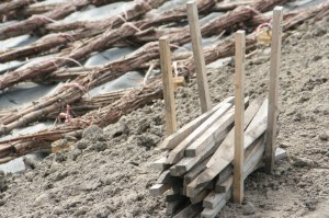 Hier houden ze van praktische, simpele oplossingen... Hoe houden we die paaltjes bij de hand? Je slaat er vier in de grond en legt de andere ertussen...