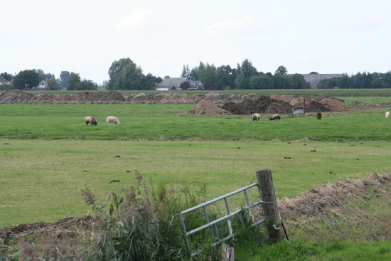 Blik vanaf de kanaalweg naar het noorden waar het graslandschap ook steeds nadrukkelijker in het teken van de wegverlegging komt te staan. 