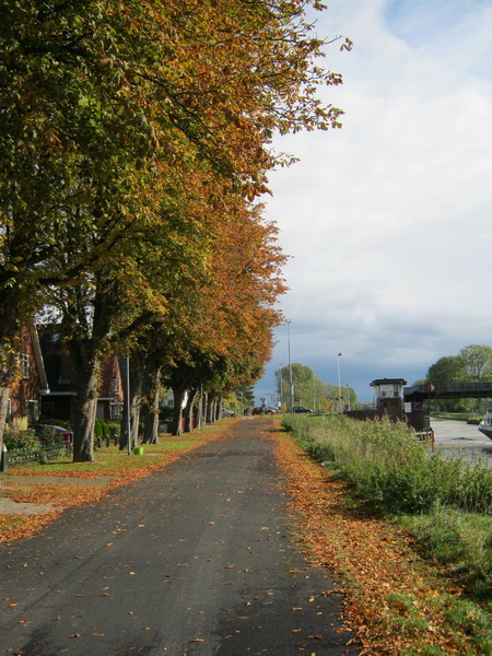 De kanaalweg aan de noordkant ligt er fraai bij, in herfsttooi! (Al worden de bladeren en kastanjes door aanwonenden ook wel verfoeid....)