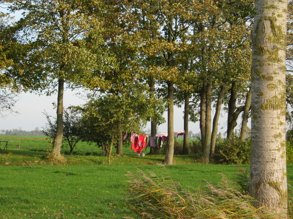 Geen maandag wasdag, maar wel de was aan de lijn buiten. Foto naar het zuiden van de USA, daar kennen ze dit niet.... 