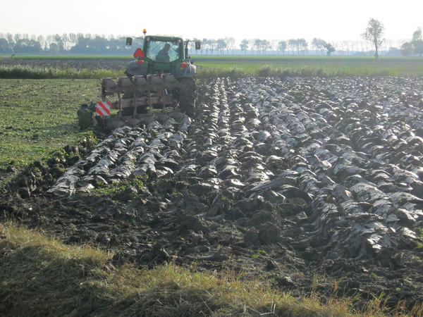 Iets ingezoomd. Oei, op het randje met het tegenlicht.... Balmahuisterweg in herfstsfeer!