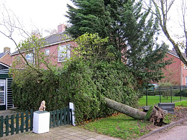 Tijdens de storm heeft ie een diepe buiging gemaakt richting Jan Schippers achtererf...
