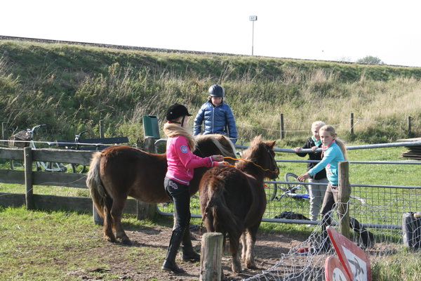 Tussen Mokkenburgweg en de spoorbaan hebben de twee daar grazende pony's bezoek gekregen van hun trouwe fans. Eentje oefent in het "op de pony gaan zitten". Op Cupido, zo heet deze, volgens de jongedames.