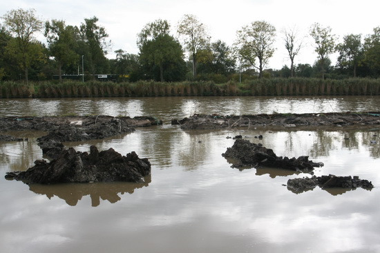 Er is inmiddels een verbinding tussen het reguliere kanaalwater en het water in het toe te voegen deel dat eerst land was. De niveaus zijn bijna gelijk.... Nauwelijks voor te stellen dat daar eerst de kanaalweg liep....