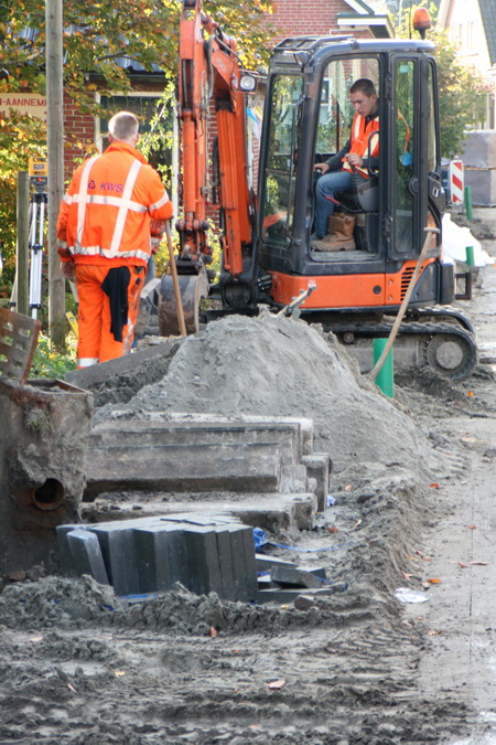 Aan de oostkant is een "grijpertje" behulpzaam bij een huisaansluiting. Of is het toch wat anders? Ik kom maar niet te dichtbij....
