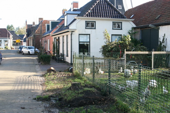In de Schippersstraat is de oktoberstorm ook niet onopgemerkt gebleven....