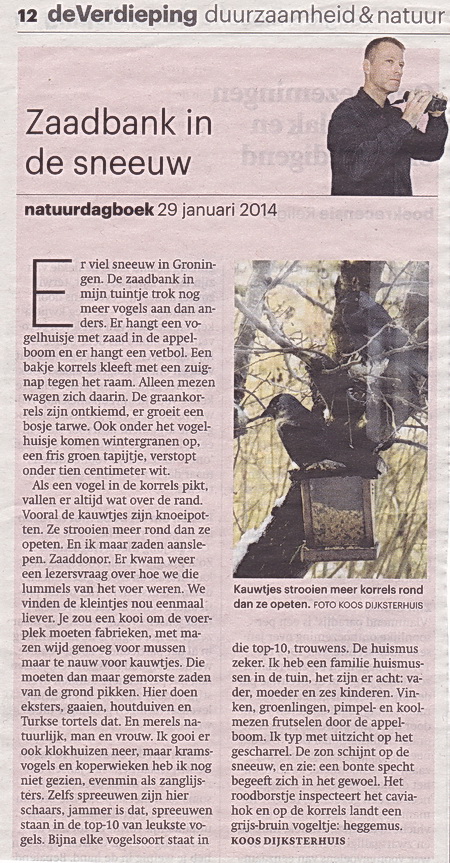 2014-01-29 19-43-53_3128 verkl