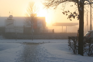 Winterzon op Be-Jo 03012010 verkl
