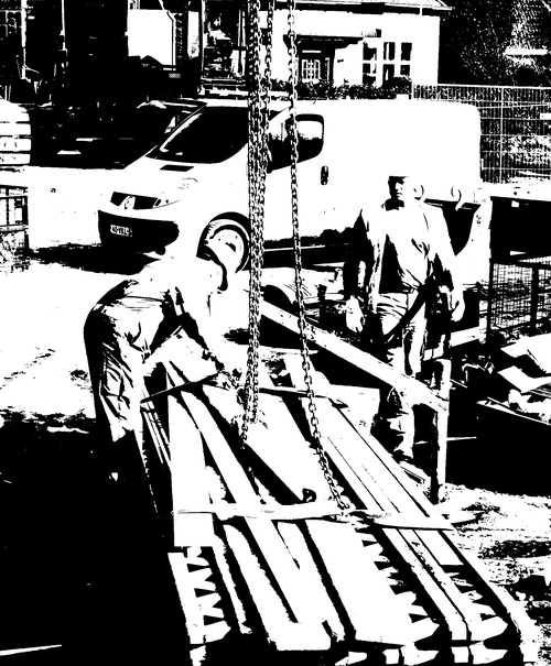 IMG_4796 cropSE verkl