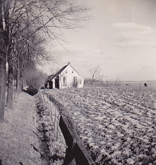 2014-10-26 17-56-28_3809 crop verkl