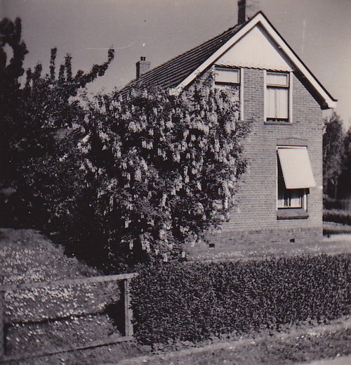 2014-10-26 18-00-48_3810 crop verkl