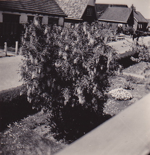 2014-10-26 18-03-56_3811 crop verkl