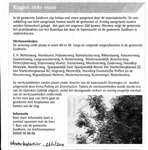 2014-11-26 18-16-30_3900 verkl