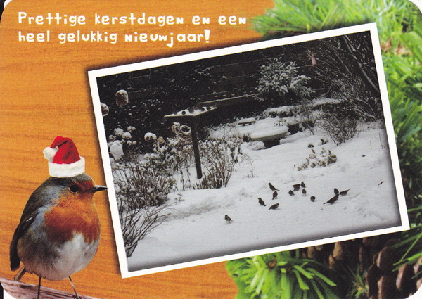 2014-12-10 12-26-47_3934 verkl