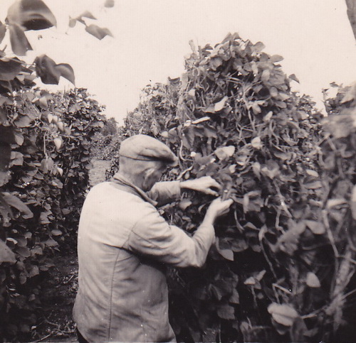 2014-12-11 17-37-17 verkl2_3946