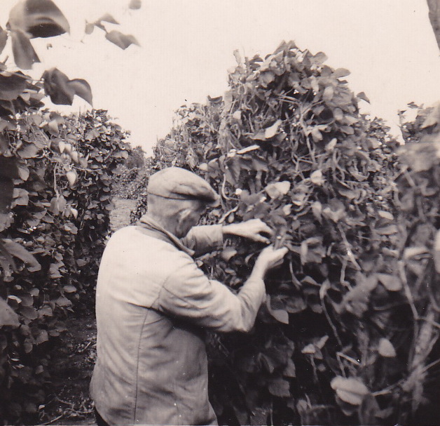 2014-12-11 17-37-17 verkl_3946