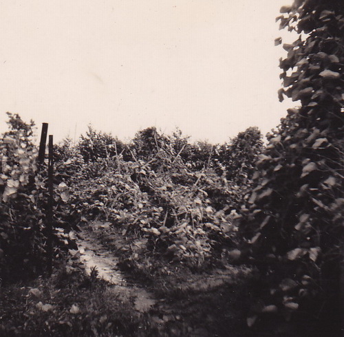 2014-12-11 17-38-36 crop verkl_3947