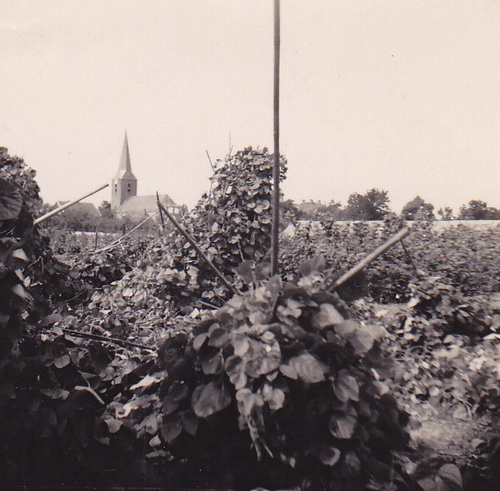 2014-12-11 17-42-51 crop verkl_3951