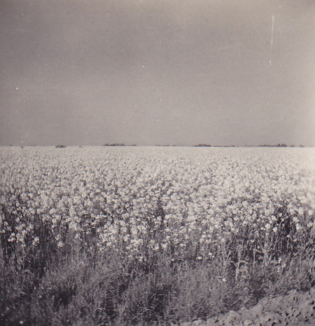 LJL Koolveld bij Noordhorn 49 verkl