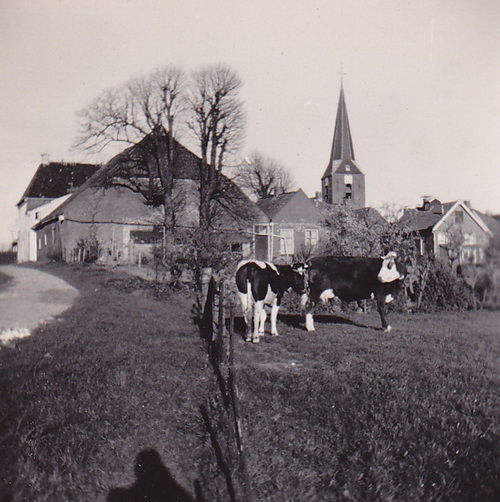 LJL Noordhorn 49 verkl