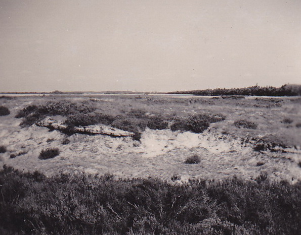 LJL Heide bij Borger  1949