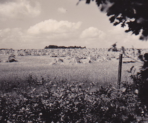 LJL Omgeving Exloo 02 1949