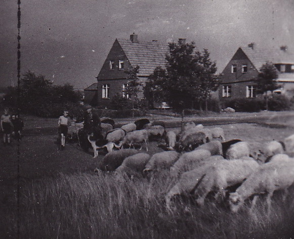 LJL Omgeving Exloo 1949