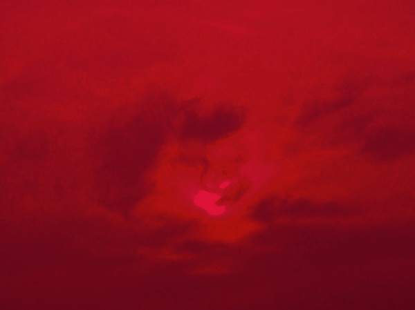 IMG_3019 crop bew web